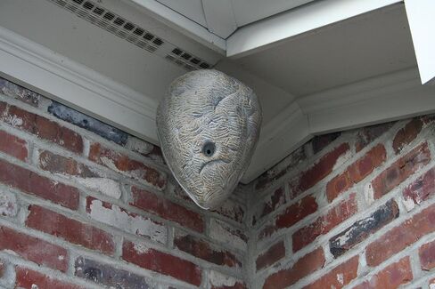 AIRCROW Wasp Out™ Fake Hornet's Nest Decoy Wasp Deterrent in Saudi Arabia