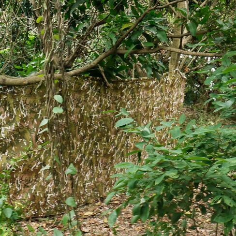 WINWAY Camo Netting Burlap Cradle Mesh Fabric - 75D Camouflage Netting for Hunting Blinds, Camping Military Tree Stands, Ground Cover,Decoration in Saudi Arabia