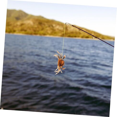 Toddmomy 4 pcs Baits Home Fishing for with Simulation Soft Lifelike Wall Crab Bait Hooks Saltwater Kit Supple Freshwater D Vivid Shop Brown Life-Like Supplies Sea Hanging Gear in Saudi Arabia