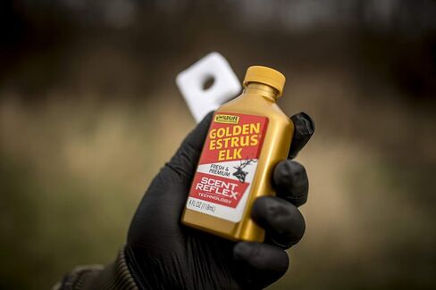 Wildlife Research Center Golden Estrus Elk Scent Attractant for Elk Hunting in Kuwait