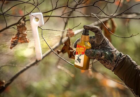 Wildlife Research Center Golden Estrus Elk Scent Attractant for Elk Hunting in Kuwait