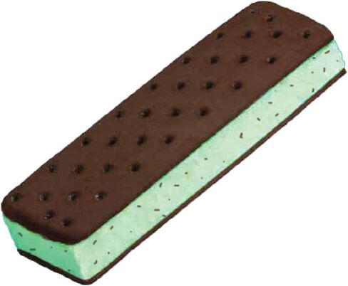 Mountain House Mint Chocolate Chip Ice Cream Sandwich | Freeze Dried Backpacking & Camping Food in Kuwait