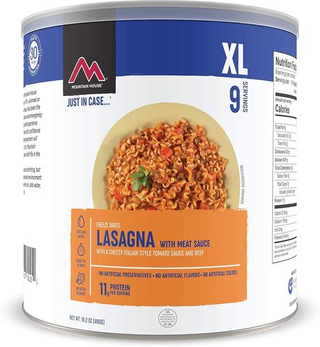 Mountain House Homestyle Chicken Noodle Casserole | Freeze Dried Survival & Emergency Food | #10 Can in Saudi Arabia