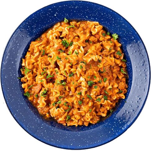 Mountain House Homestyle Chicken Noodle Casserole | Freeze Dried Survival & Emergency Food | #10 Can in Saudi Arabia