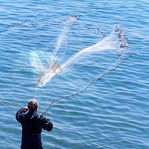 Yeahmart American Saltwater Fishing Cast Net for Bait Trap Fish 3ft/4ft/5ft/6ft/7ft/8ft/9ft/10ft Radius Casting Nets with Heavy Duty Real Zinc Sinker Weights, 3/8inch Mesh Size in Kuwait