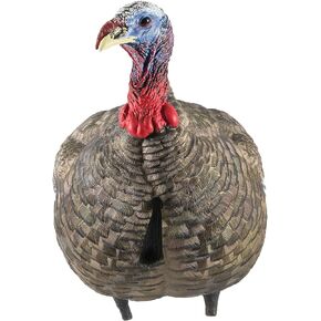 AVIAN-X LCD Jake Quarter Strut Durable Realistic Lifelike Collapsible Standing Folding Hunting Turkey Decoy with Carry Bag & Stake, AVX8003 in Kuwait