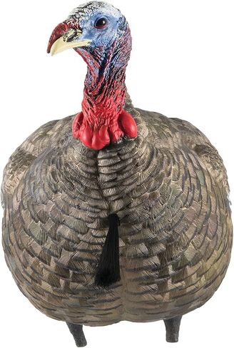 AVIAN-X LCD Jake Quarter Strut Durable Realistic Lifelike Collapsible Standing Folding Hunting Turkey Decoy with Carry Bag & Stake, AVX8003 in Saudi Arabia