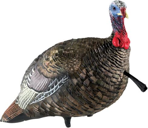 AVIAN-X LCD Jake Quarter Strut Durable Realistic Lifelike Collapsible Standing Folding Hunting Turkey Decoy with Carry Bag & Stake, AVX8003 in Saudi Arabia