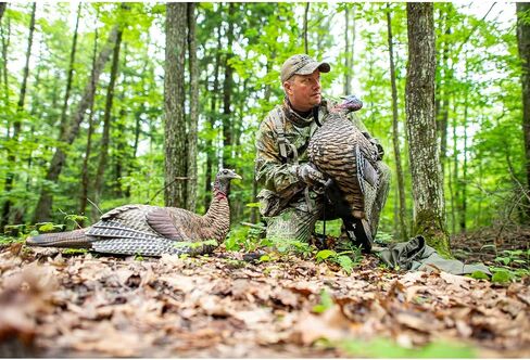 AVIAN-X LCD Jake Quarter Strut Durable Realistic Lifelike Collapsible Standing Folding Hunting Turkey Decoy with Carry Bag & Stake, AVX8003 in Saudi Arabia