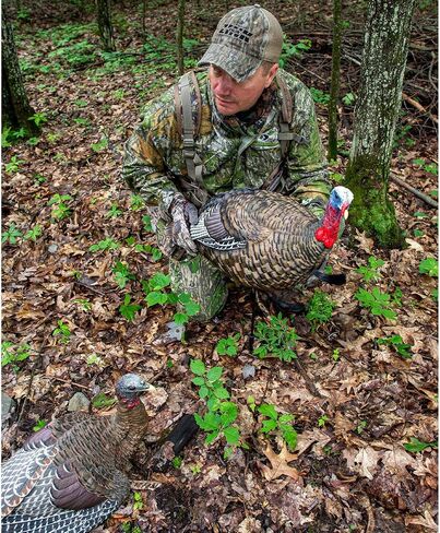 AVIAN-X LCD Jake Quarter Strut Durable Realistic Lifelike Collapsible Standing Folding Hunting Turkey Decoy with Carry Bag & Stake, AVX8003 in Saudi Arabia