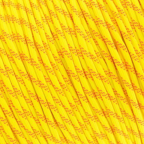 West Coast Paracord Multi Color Nylon Military Paracord 550 Type III 7 Strand Utility Cord Rope - 100 Foot Hanks (Abby) in Kuwait