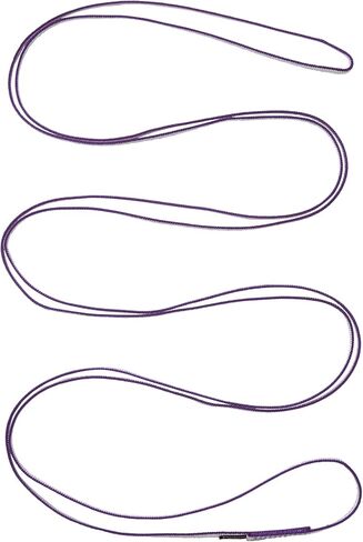 Black Diamond Equipment 10 mm Dynex Runner 240 cm - Purple in Saudi Arabia