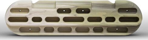 Beastmaker 1000 Series Fingerboard in Saudi Arabia