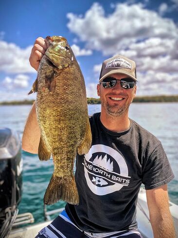 طعوم نورث الحقيقية - ميني ميراج مينوة 3 بوصات (لمعان، 8 عبوات) - طعم صيد السمك الناعم من البلاستيك الناعم دروبشوت نيد ريج فينيس ميننو بيت سملت شاد والي سمولموث بايك كرابي داميكي in Kuwait