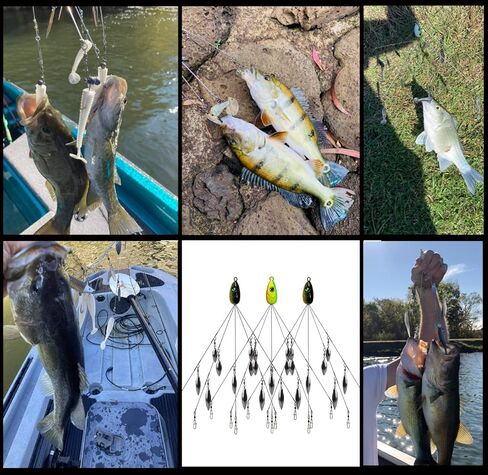 HCHinn Alabama Rig for Bass Striper الصيد السحر الطعوم 5 الأسلحة مظلة A-Rig Swimbaits مع 8 شفرات أوراق الصفصاف لسمك السلمون المرقط جثم العين رمادية فاتحة اللون المياه العذبة / المياه المالحة قارب التصيد وأكثر من ذلك in Kuwait