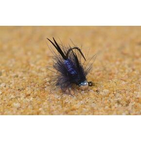 6 Flies - Tungsten Purple Reign Jig Head Fly - Euro Nymph - Hanak Hook (Hook #16) in Kuwait