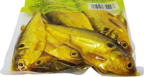 RUSTYS Bait أصفر الذيل الظل، باس ستريبس، واليلي، طعم الصيد بالدراجة، جذاب، إغراء in Saudi Arabia