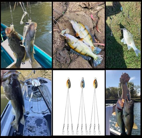 HCHinn Alabama Rig لصيد الأسماك، 3 أذرع، مظلة A-Rig، مجموعة طُعم الصيد لسمك السلمون المرقط، جثم رمادي فاتح، المياه العذبة/المياه المالحة، قارب التصيد والمزيد in Kuwait