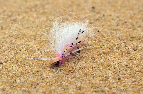 1 Doz Foam Chubby Chernobyl Hopper Pink Dry Fishing Fly - Hook Size #8 in Saudi Arabia