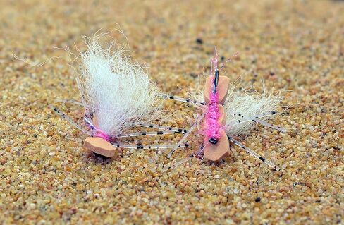 1 Doz Foam Chubby Chernobyl Hopper Pink Dry Fishing Fly - Hook Size #8 in Saudi Arabia