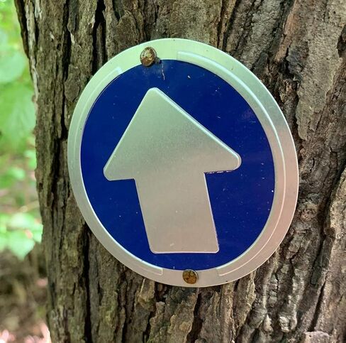Wild Drifter Trail Markers - Bright Reflective Trail Marker Pack of 24, Easy to Mount, Mark Your Trees for Hunting, Hiking, Camping, and More. in Saudi Arabia