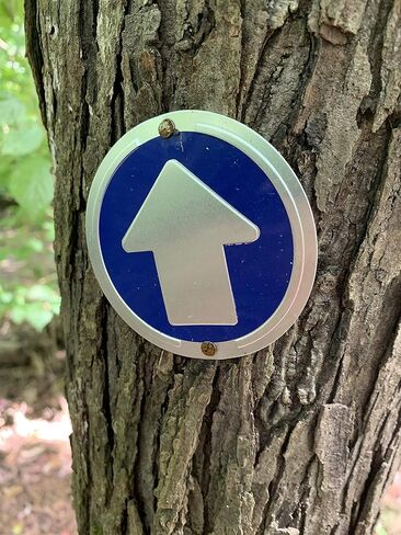 Wild Drifter Trail Markers - Bright Reflective Trail Marker Pack of 24, Easy to Mount, Mark Your Trees for Hunting, Hiking, Camping, and More. in Saudi Arabia