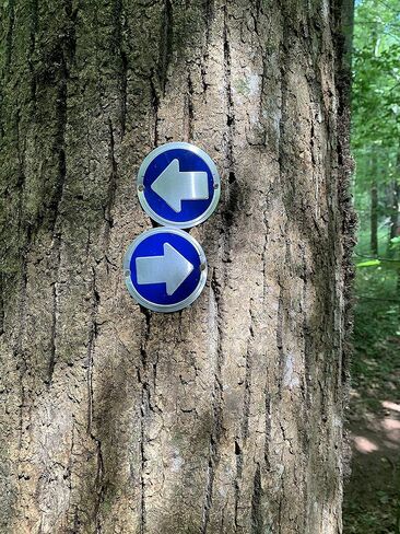 Wild Drifter Trail Markers - Bright Reflective Trail Marker Pack of 24, Easy to Mount, Mark Your Trees for Hunting, Hiking, Camping, and More. in Saudi Arabia