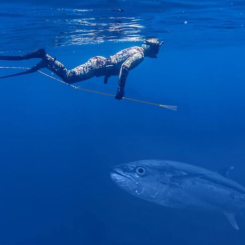 Dr.Fish Spearfishing Kit الفولاذ المقاوم للصدأ الصيد سترينجر 6'5 "الألياف الزجاجية 3 قطع هاواي حبال القطب الرمح الشلل 3 نصائح مجموعة حقيبة السفر الحربة in Saudi Arabia