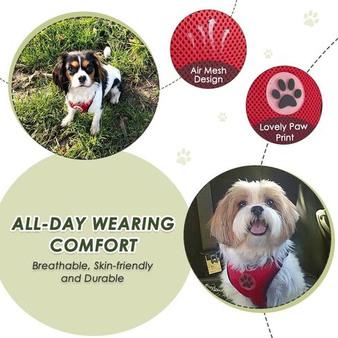 SlowTon Dog Seat Belt Harness for Car, Dog Car Harness Adjustable Mesh Breathable & Dog Seatbelt Safety Tether with Elastic Bungee for Small Medium Large Pets(Black, Double Clip, XXXS) in Kuwait