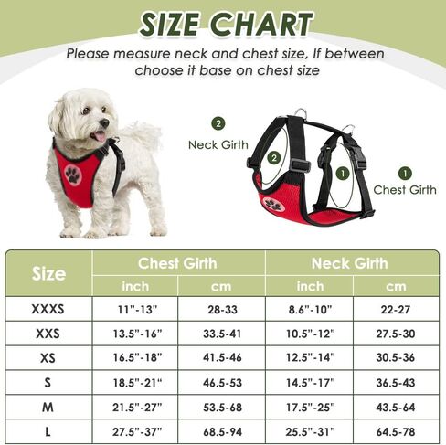 SlowTon Dog Seat Belt Harness for Car, Dog Car Harness Adjustable Mesh Breathable & Dog Seatbelt Safety Tether with Elastic Bungee for Small Medium Large Pets(Black, Double Clip, XXXS) in Kuwait