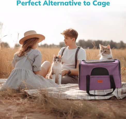 حامل الكلاب Morpilot Cat Carrier حقيبة سفر للحيوانات الأليفة معتمدة من شركة الطيران، حامل حيوانات أليفة من القماش قابل للطي للكلاب الصغيرة والجراء والقطط المتوسطة، مع سحابات أمان للقفل، وعاء قابل للطي (أرجواني) in Kuwait