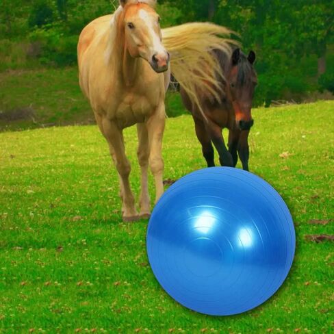 Horse Ball Training Toy, Anti-Burst Horse Exercise Ball Toy with Inflator Pump for Horse Lamb Goat Enterainment Toy Ball (22 Inch, Blue) in Saudi Arabia