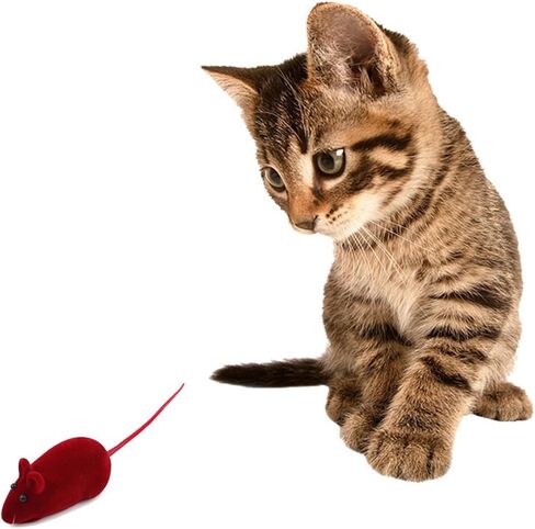 لعبة لعب القطط والكلاب، لعبة صرير الضوضاء، لعبة الفئران الجميلة، لعبة الفئران الكاذبة، 4 قطع متعددة الألوان in Kuwait