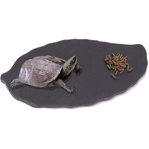 طبق صخور للزواحف من Linifar بتصميم السلحفاة منصة طعام صخرية لتزيين الموطن والتنين الملتحي السحالي المتوجج برص الحرباء الأفعى in Kuwait