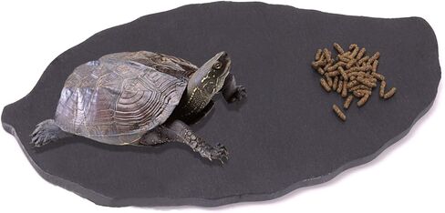 طبق صخور للزواحف من Linifar بتصميم السلحفاة منصة طعام صخرية لتزيين الموطن والتنين الملتحي السحالي المتوجج برص الحرباء الأفعى in Kuwait