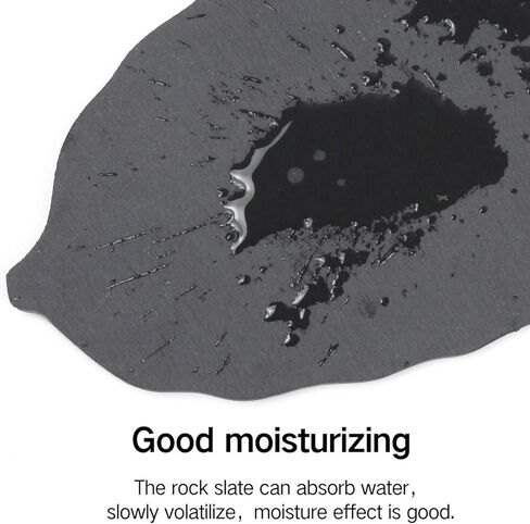 طبق صخور للزواحف من Linifar بتصميم السلحفاة منصة طعام صخرية لتزيين الموطن والتنين الملتحي السحالي المتوجج برص الحرباء الأفعى in Kuwait