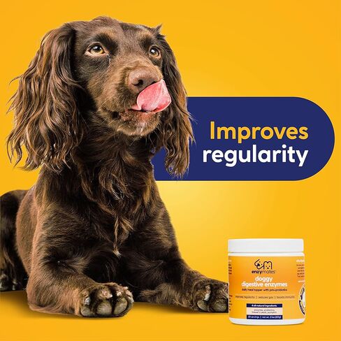 الإنزيمات الإنزيمات الهاضمة مع البريبايوتكس والبروبيوتيك للكلاب | علاج ممتاز للوجبات اليومية من اليقطين الطبيعي بالكامل يحسن الانتظام ويقلل الغازات ويعزز المناعة، 30 وجبة in Kuwait