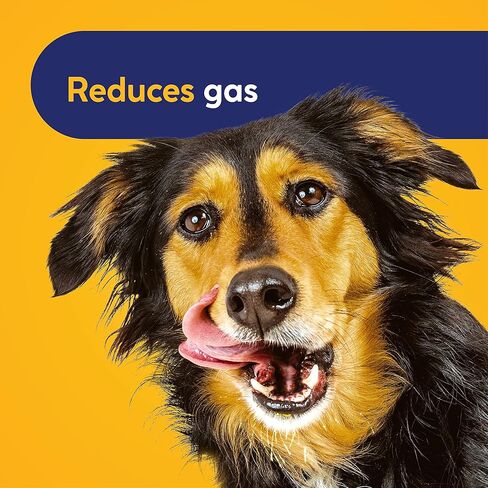 الإنزيمات الإنزيمات الهاضمة مع البريبايوتكس والبروبيوتيك للكلاب | علاج ممتاز للوجبات اليومية من اليقطين الطبيعي بالكامل يحسن الانتظام ويقلل الغازات ويعزز المناعة، 30 وجبة in Kuwait