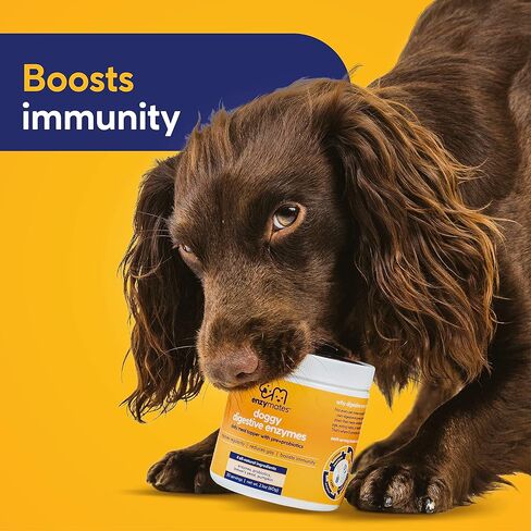 الإنزيمات الإنزيمات الهاضمة مع البريبايوتكس والبروبيوتيك للكلاب | علاج ممتاز للوجبات اليومية من اليقطين الطبيعي بالكامل يحسن الانتظام ويقلل الغازات ويعزز المناعة، 30 وجبة in Kuwait