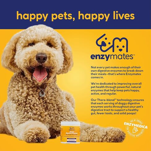 الإنزيمات الإنزيمات الهاضمة مع البريبايوتكس والبروبيوتيك للكلاب | علاج ممتاز للوجبات اليومية من اليقطين الطبيعي بالكامل يحسن الانتظام ويقلل الغازات ويعزز المناعة، 30 وجبة in Kuwait
