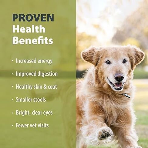 JustFoodForDogs غلاف طعام الكلاب الطازج المجمد، مجموعة متنوعة، وصفات لحم البقر والديك الرومي، 5.5 أونصة (عبوة من 18 قطعة) in Kuwait