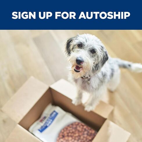 هيل وصفة طبية ONC Care Dry Dog Food، دجاج، نظام غذائي بيطري، 6 رطل in Kuwait