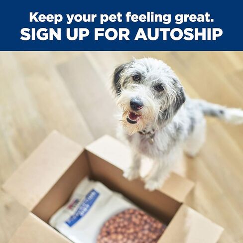 هيل وصفة طبية g/d طعام جاف للكلاب للعناية بالشيخوخة بنكهة الدجاج، نظام غذائي بيطري، 8.5 رطل. in Kuwait