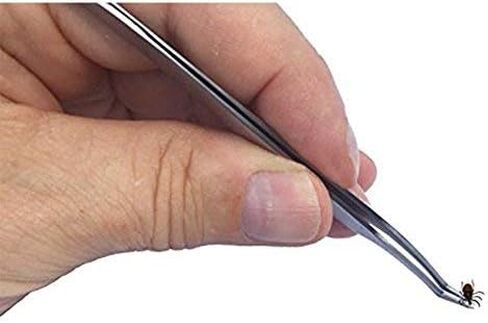 Tick Remover Tool Kit & Tick Identifier Card - Hygienic Stainless Steel in Saudi Arabia