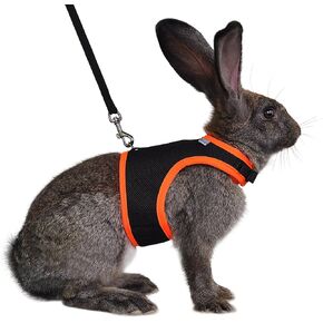 Niteangel Adjustable Soft Harness with Elastic Leash for Rabbits (L, Blue)
