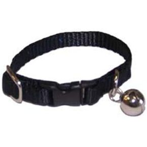 Marshall Pet Ferret Bell Collar Royal Blue in Saudi Arabia