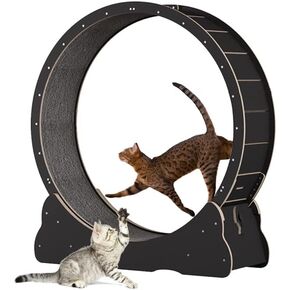 Homegroove Cat Exercise Wheel, 35.4 Inch Cat Wheels for Indoor Cats,Versatile Cat Running Wheel Treadmill with Detachable Carpet for Cat's Weight Loss and Health, Natural Wood Color(M)