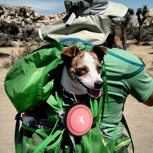 Collapsible Dog Bowls for Travel, 2-Pack Dog Portable Water Bowl for Dogs Cats Pet Foldable Feeding Watering Dish for Traveling Camping Walking with 2 Carabiners, BPA Free in Saudi Arabia