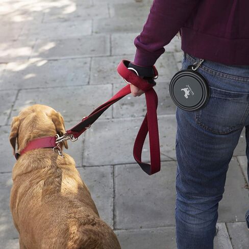 Collapsible Dog Bowls for Travel, 2-Pack Dog Portable Water Bowl for Dogs Cats Pet Foldable Feeding Watering Dish for Traveling Camping Walking with 2 Carabiners, BPA Free in Saudi Arabia