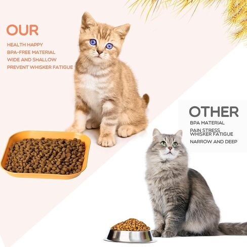 16 Pieces Cat Food Bowl Set, 6 inch Whisker Fatigue Free Cat Bowls,Small Flat Cat Dish, Shallow Pet Feeding Dish or Plate for Cats and Small Dogs (8 Colours) in Saudi Arabia